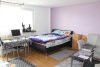 RESERVIERT Investieren Sie clever: 1-Zimmer-Apartment in zukunftsträchtiger Lage von Offenbach-Nordend - Wohn- und Schlafbereich