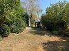 Gepflegtes Einfamilienhaus mit Wintergarten, Garage und großem 732m² Grundstück in Seligenstadt! - Garten